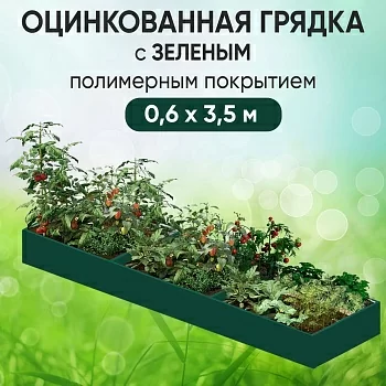 Грядка зеленая (0,6 х 3,5)